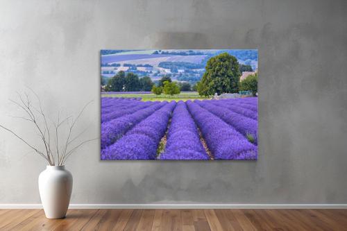 Dekoratif Doğa ( Nature ) Kanvas Tablo 658