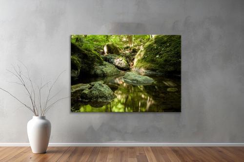 Dekoratif Doğa ( Nature ) Kanvas Tablo 659