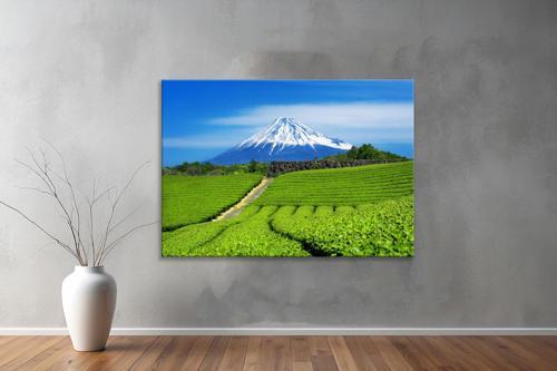 Dekoratif Doğa ( Nature ) Kanvas Tablo 66