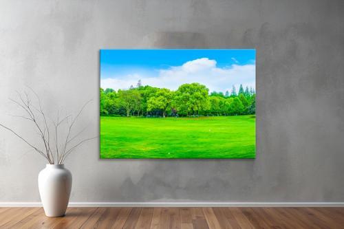 Dekoratif Doğa ( Nature ) Kanvas Tablo 67