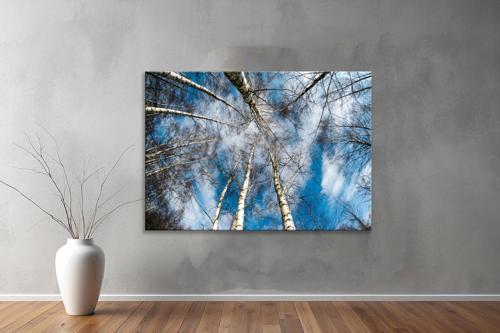 Dekoratif Doğa ( Nature ) Kanvas Tablo  672 