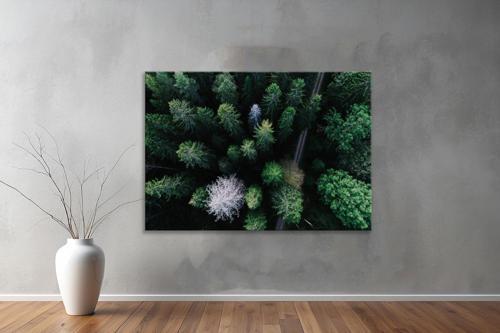 Dekoratif Doğa ( Nature ) Kanvas Tablo  675 
