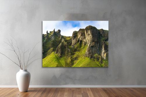 Dekoratif Doğa ( Nature ) Kanvas Tablo  676 