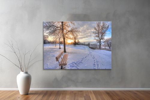 Dekoratif Doğa ( Nature ) Kanvas Tablo  684 