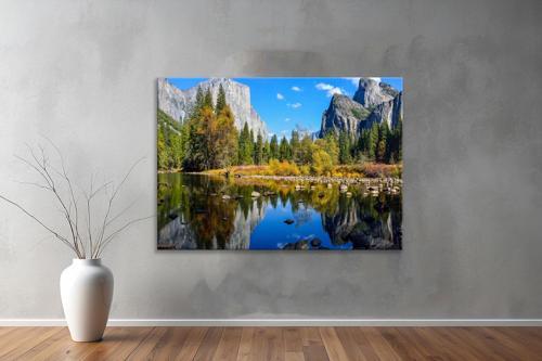 Dekoratif Doğa ( Nature ) Kanvas Tablo  685 