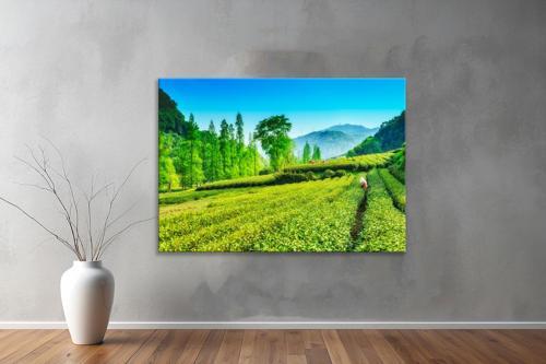 Dekoratif Doğa ( Nature ) Kanvas Tablo  69 