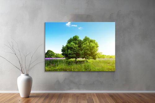 Dekoratif Doğa ( Nature ) Kanvas Tablo  72 