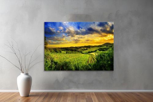 Dekoratif Doğa ( Nature ) Kanvas Tablo  73 