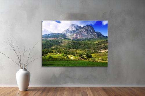 Dekoratif Doğa ( Nature ) Kanvas Tablo  74 