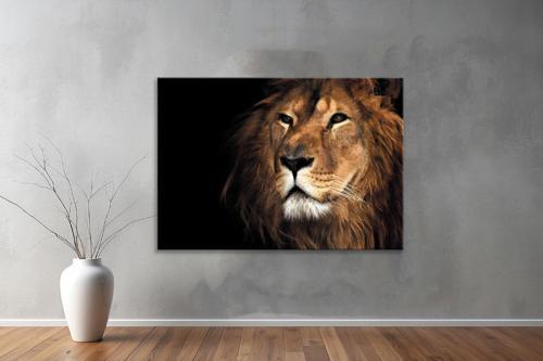 Hayvanlar ( Animal's) Kanvas Yatay Tablo174