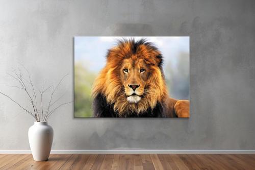 Hayvanlar ( Animal's) Kanvas Yatay Tablo180 