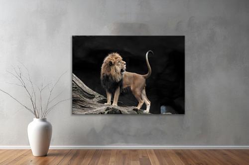 Hayvanlar ( Animal's) Kanvas Yatay Tablo182 