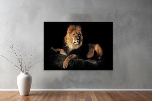 Hayvanlar ( Animal's) Kanvas Yatay Tablo186