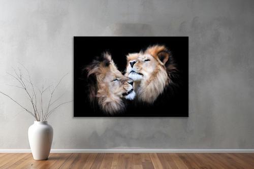Hayvanlar ( Animal's) Kanvas Yatay Tablo188 