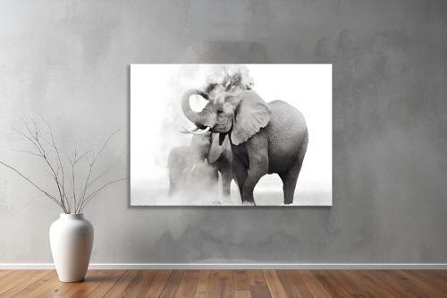 Hayvanlar ( Animal's) Kanvas Yatay Tablo190