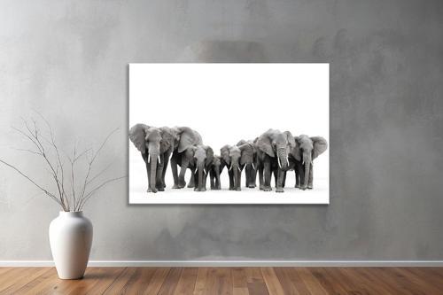 Hayvanlar ( Animal's) Kanvas Yatay Tablo191