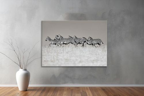 Hayvanlar ( Animal's) Kanvas Yatay Tablo193 