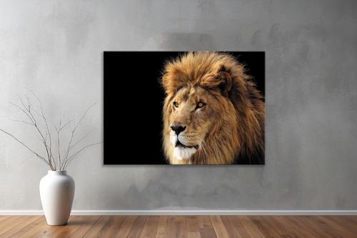 Hayvanlar ( Animal's) Kanvas Yatay Tablo222 