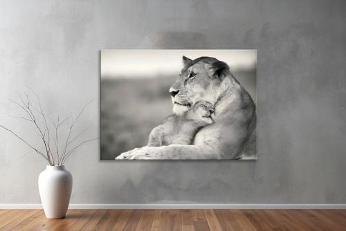Hayvanlar ( Animal's) Kanvas Yatay Tablo228 