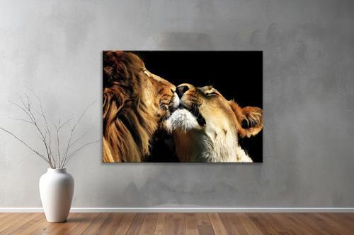 Hayvanlar ( Animal's) Kanvas Yatay Tablo229 