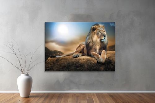 Hayvanlar ( Animal's) Kanvas Yatay Tablo244 