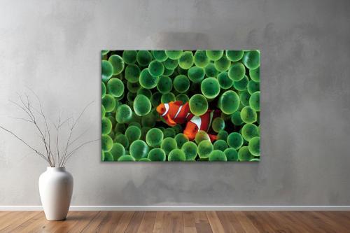 Harita ( Map's) Yatay Tablo 74