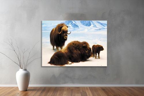 Hayvanlar ( Animal's) Kanvas Yatay Tablo248 