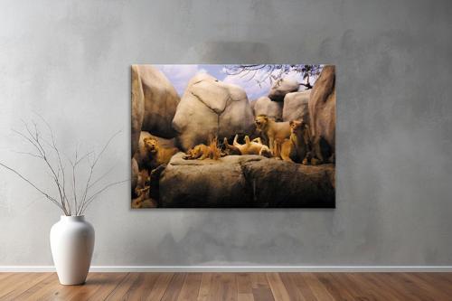 Hayvanlar ( Animal's) Kanvas Yatay Tablo256