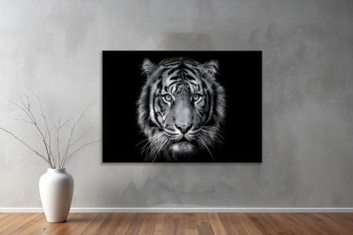 Hayvanlar ( Animal's) Kanvas Yatay Tablo26 