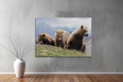 Hayvanlar ( Animal's) Kanvas Yatay Tablo260 