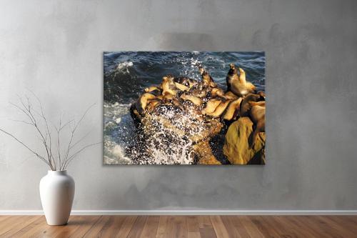 Hayvanlar ( Animal's) Kanvas Yatay Tablo267 