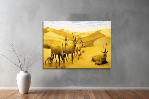 Hayvanlar ( Animal's) Kanvas Yatay Tablo269 