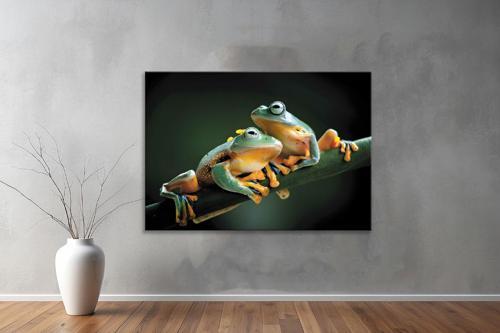 Hayvanlar ( Animal's) Kanvas Yatay Tablo279