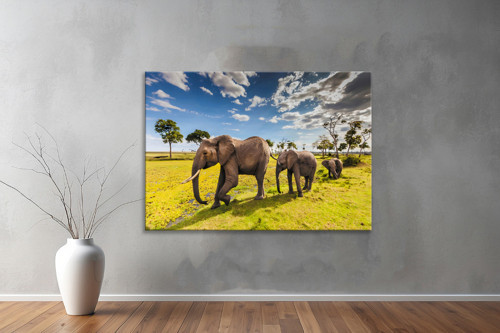 Hayvanlar ( Animal's) Kanvas Yatay Tablo281