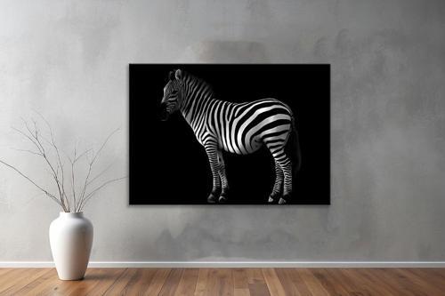 Hayvanlar ( Animal's) Kanvas Yatay Tablo11 