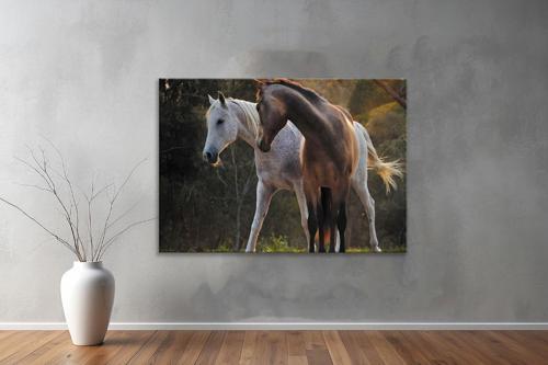 Hayvanlar ( Animal's) Kanvas Yatay Tablo292