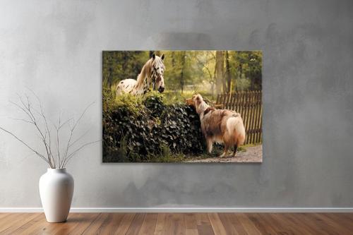 Hayvanlar ( Animal's) Kanvas Yatay Tablo299 