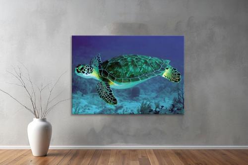 Hayvanlar ( Animal's) Kanvas Yatay Tablo125