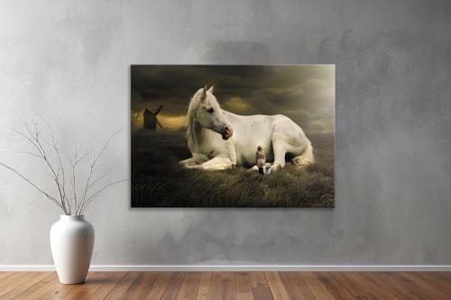 Hayvanlar ( Animal's) Kanvas Yatay Tablo307 