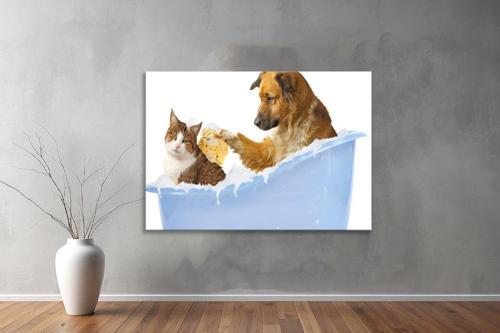 Hayvanlar ( Animal's) Kanvas Yatay Tablo316 