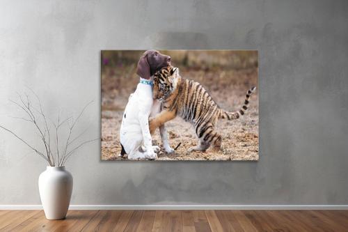 Hayvanlar ( Animal's) Kanvas Yatay Tablo357 