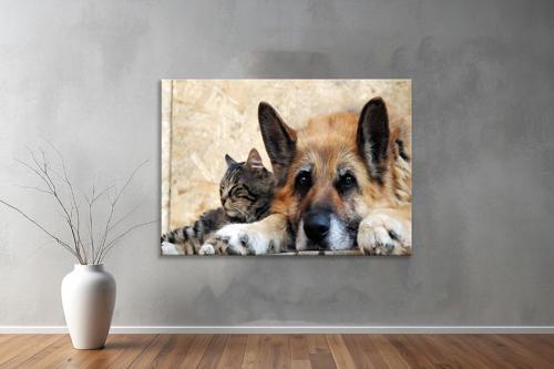 Hayvanlar ( Animal's) Kanvas Yatay Tablo321 