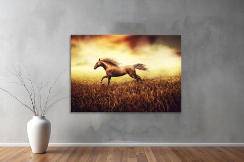 Hayvanlar ( Animal's) Kanvas Yatay Tablo368 