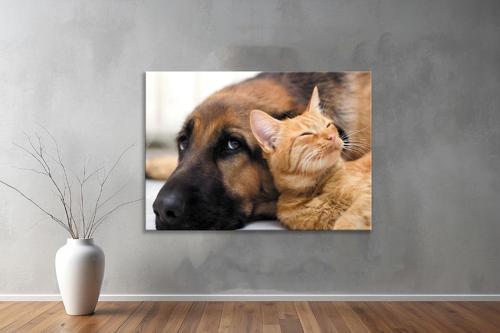 Hayvanlar ( Animal's) Kanvas Yatay Tablo323 
