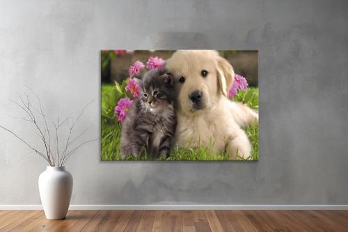 Hayvanlar ( Animal's) Kanvas Yatay Tablo330 