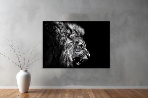 Hayvanlar ( Animal's) Kanvas Yatay Tablo382