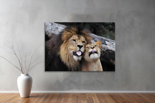 Hayvanlar ( Animal's) Kanvas Yatay Tablo385 