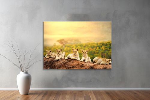 Hayvanlar ( Animal's) Kanvas Yatay Tablo386 