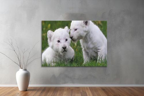Hayvanlar ( Animal's) Kanvas Yatay Tablo334 
