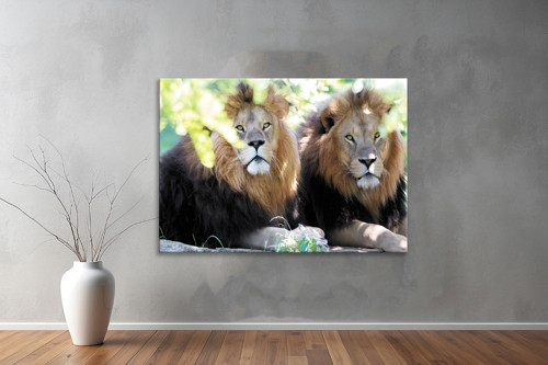 Hayvanlar ( Animal's) Kanvas Yatay Tablo388